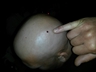 20140816_231156